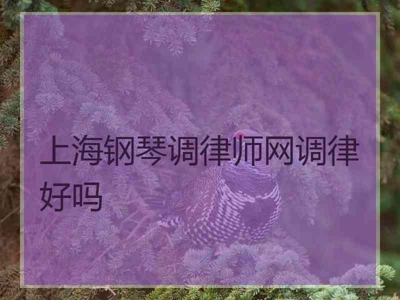 上海钢琴调律师网调律好吗