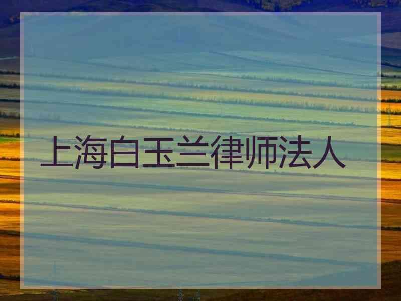 上海白玉兰律师法人