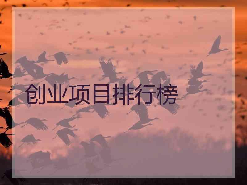 创业项目排行榜