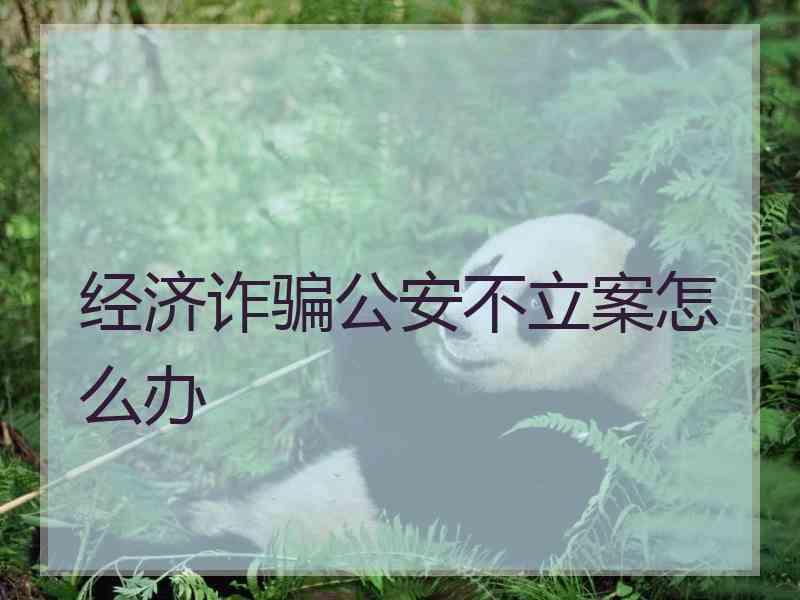 经济诈骗公安不立案怎么办