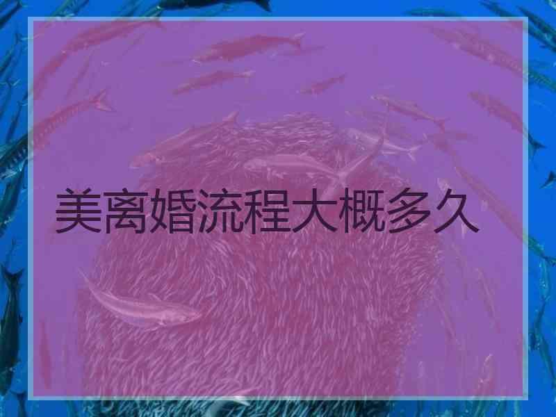 美离婚流程大概多久