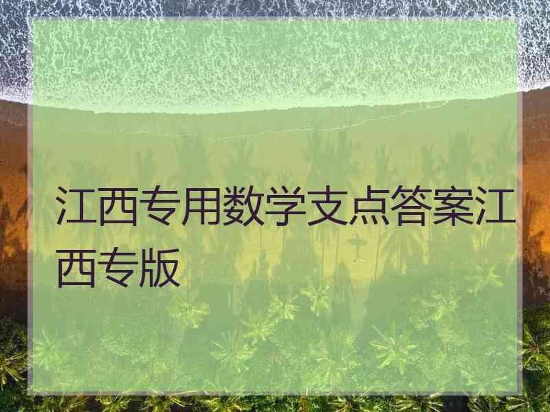 江西专用数学支点答案江西专版