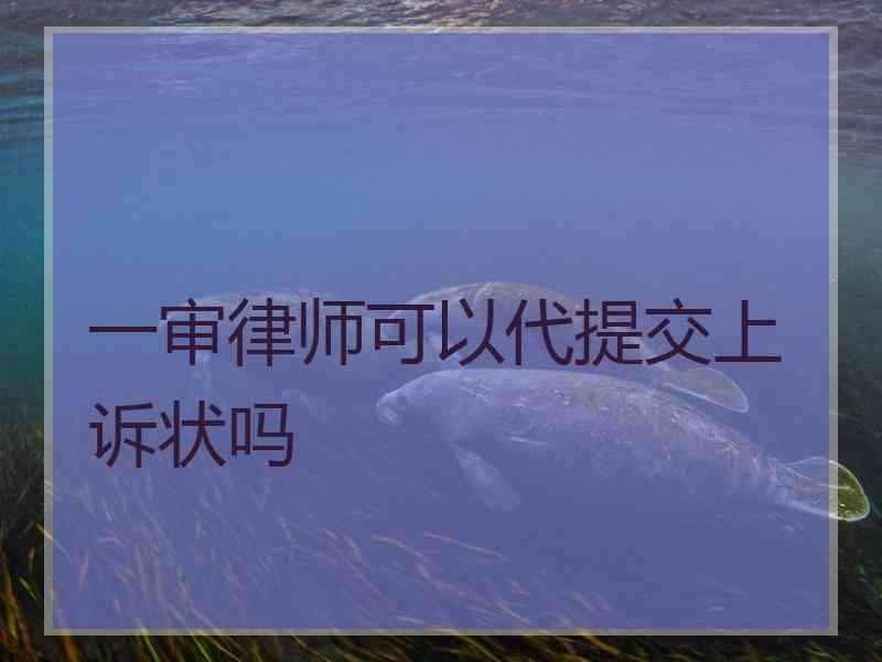 一审律师可以代提交上诉状吗