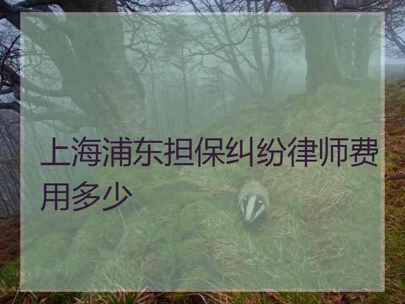 上海浦东担保纠纷律师费用多少