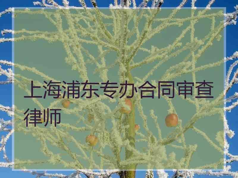 上海浦东专办合同审查律师