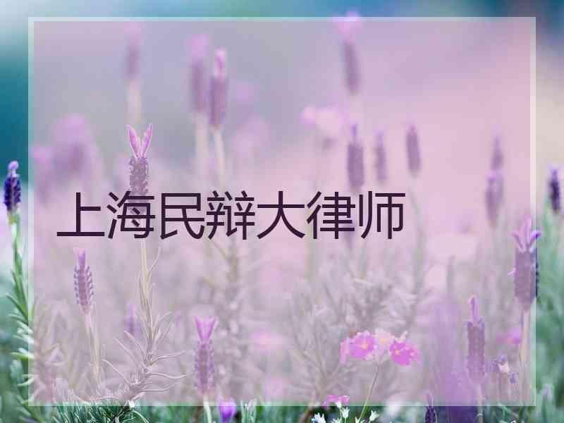 上海民辩大律师