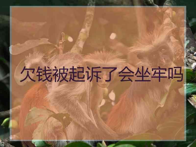 欠钱被起诉了会坐牢吗