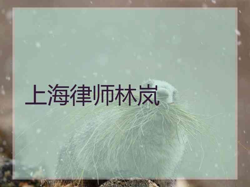 上海律师林岚
