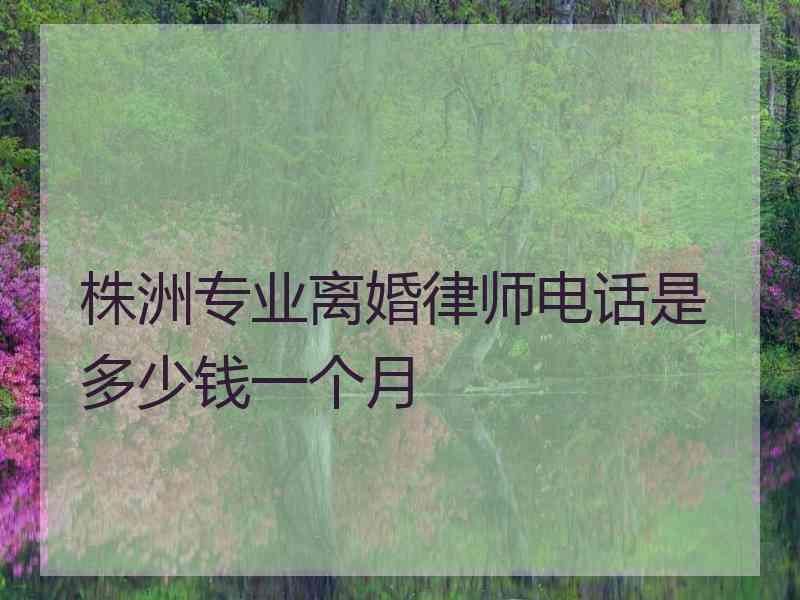 株洲专业离婚律师电话是多少钱一个月