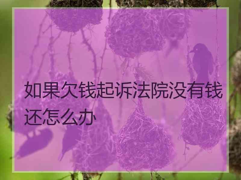 如果欠钱起诉法院没有钱还怎么办