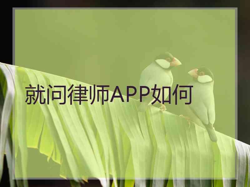 就问律师APP如何