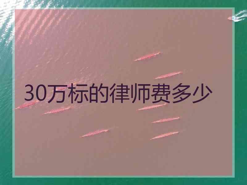 30万标的律师费多少