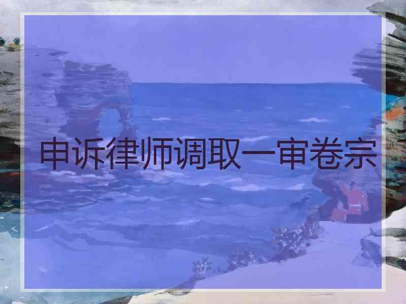 申诉律师调取一审卷宗