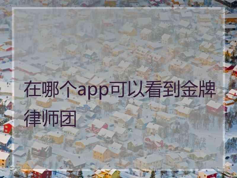 在哪个app可以看到金牌律师团