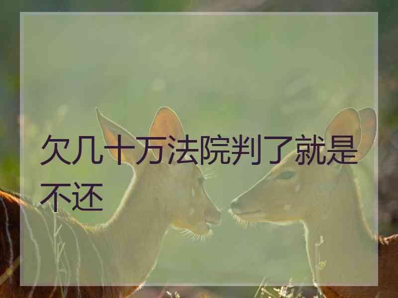 欠几十万法院判了就是不还