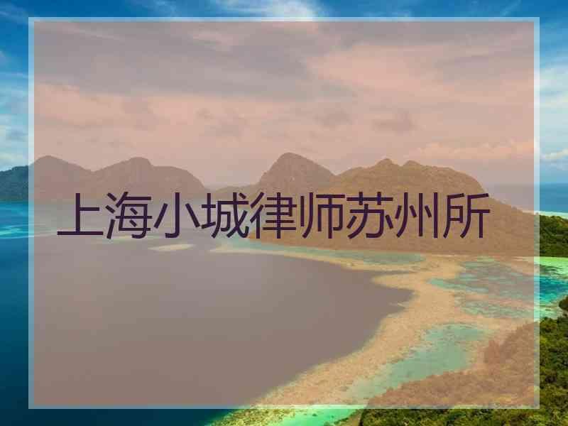 上海小城律师苏州所