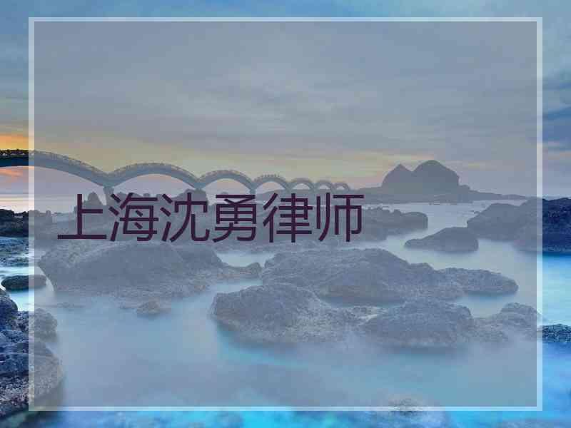 上海沈勇律师