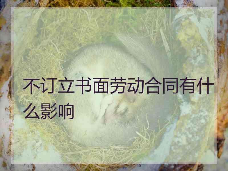 不订立书面劳动合同有什么影响