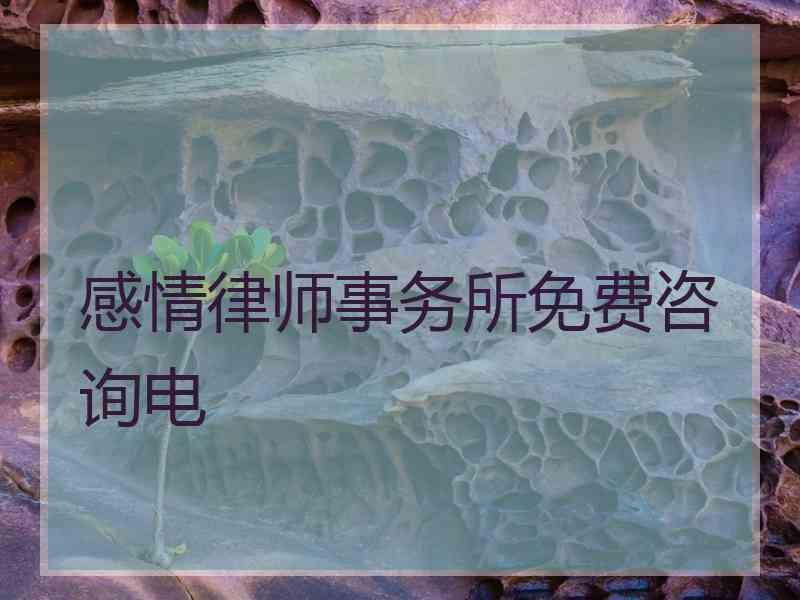 感情律师事务所免费咨询电