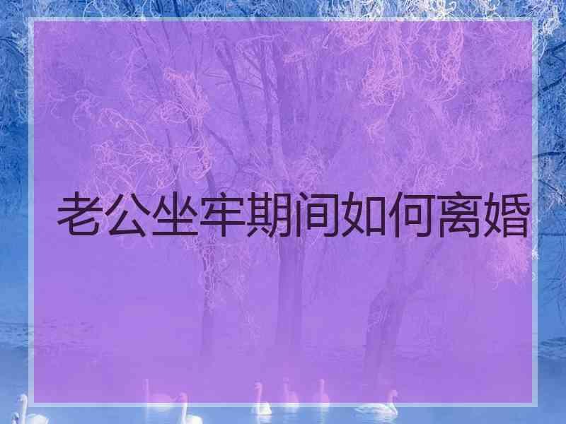 老公坐牢期间如何离婚