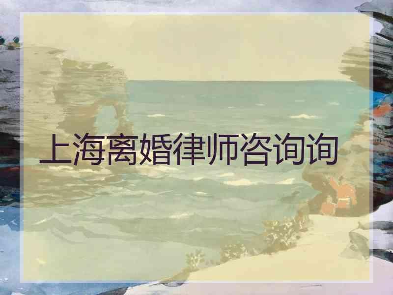 上海离婚律师咨询询