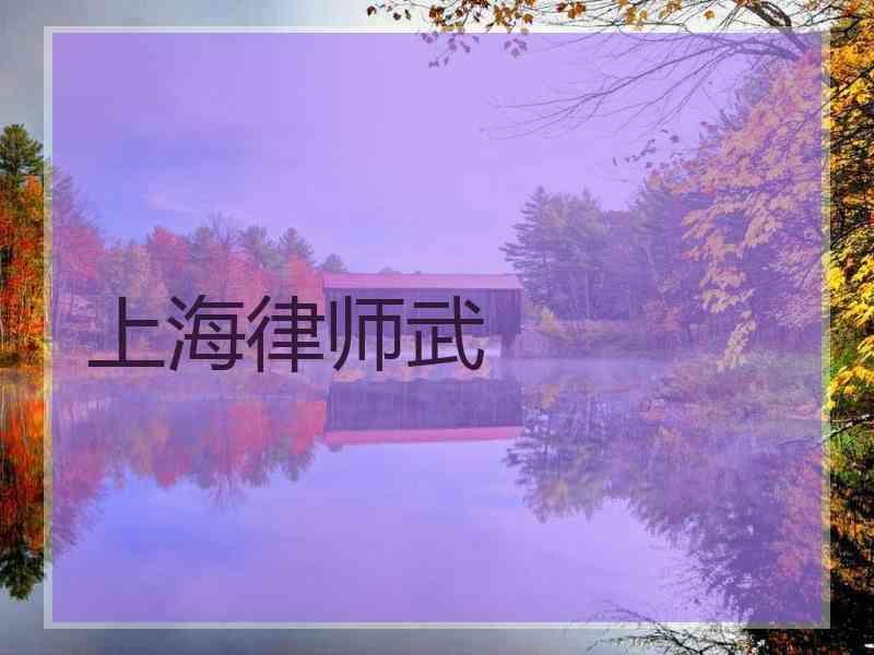 上海律师武