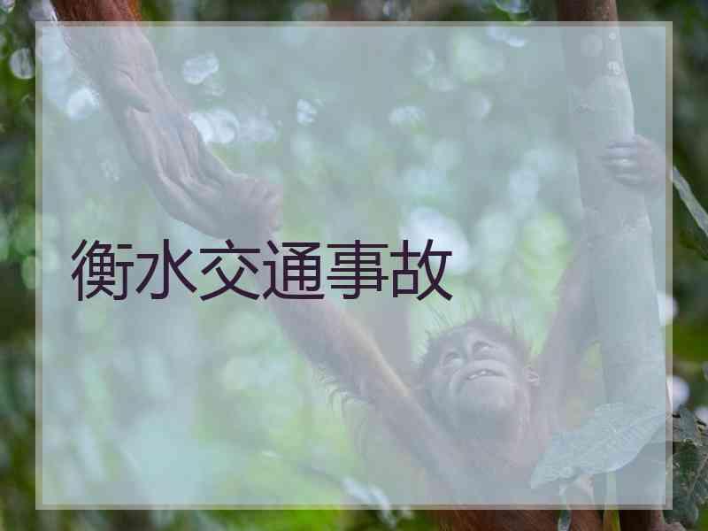 衡水交通事故