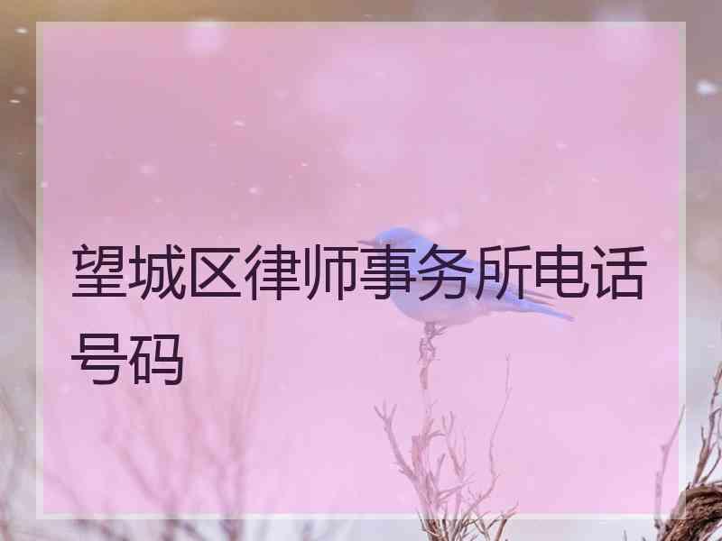 望城区律师事务所电话号码