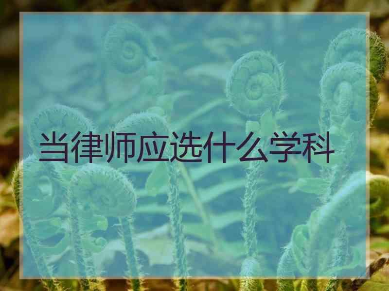 当律师应选什么学科