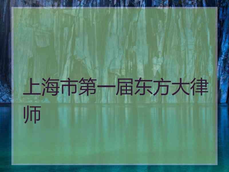 上海市第一届东方大律师