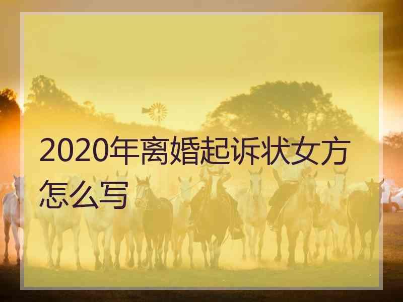 2020年离婚起诉状女方怎么写