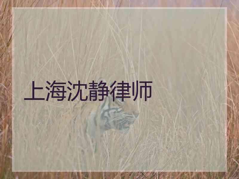 上海沈静律师_沈静之