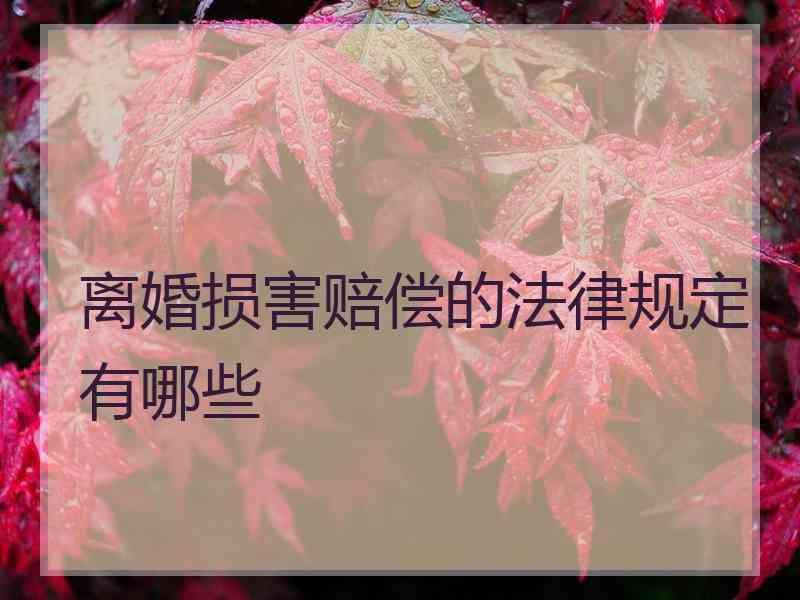 离婚损害赔偿的法律规定有哪些