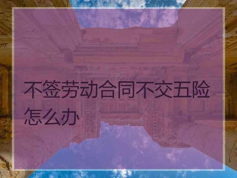 不签劳动合同不交五险怎么办