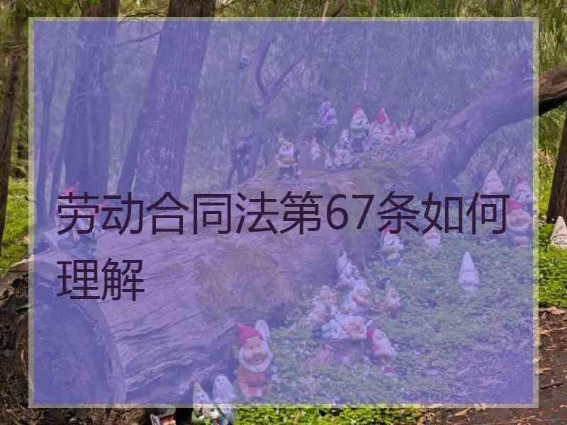 劳动合同法第67条如何理解