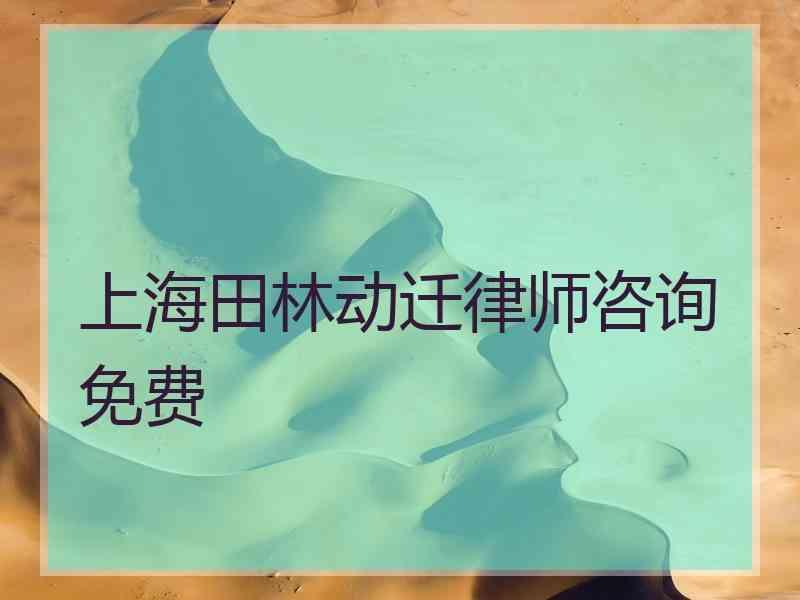 上海田林动迁律师咨询免费