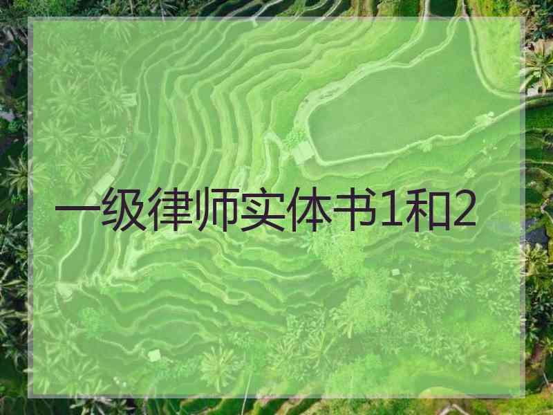 一级律师实体书1和2