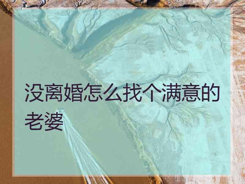 没离婚怎么找个满意的老婆