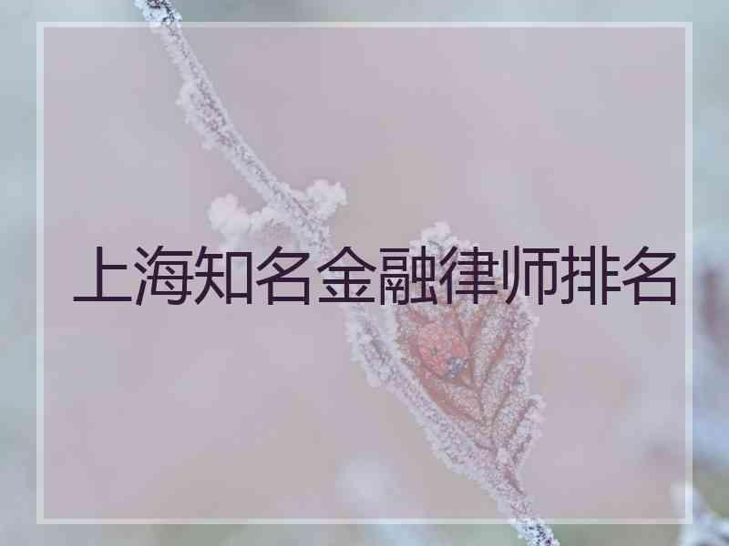 上海知名金融律师排名