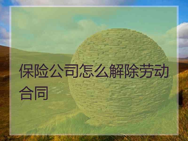 保险公司怎么解除劳动合同