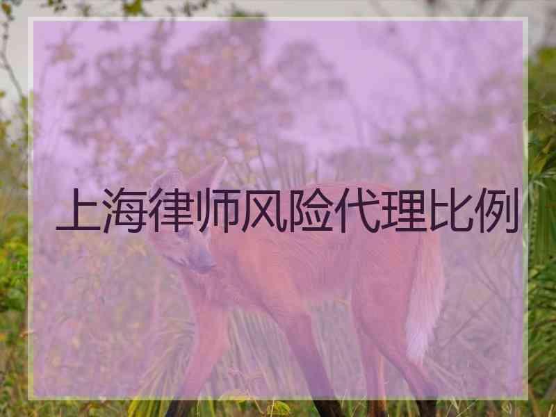 上海律师风险代理比例