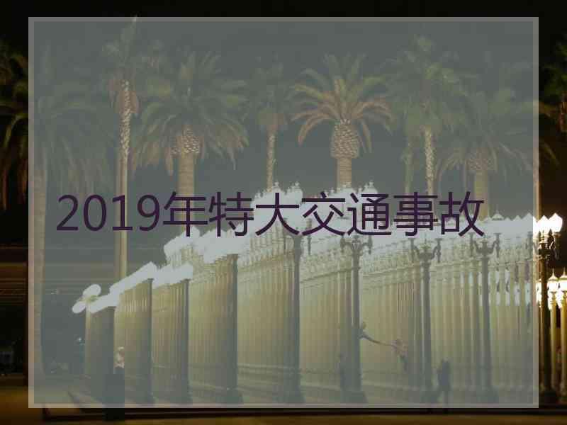 2019年特大交通事故