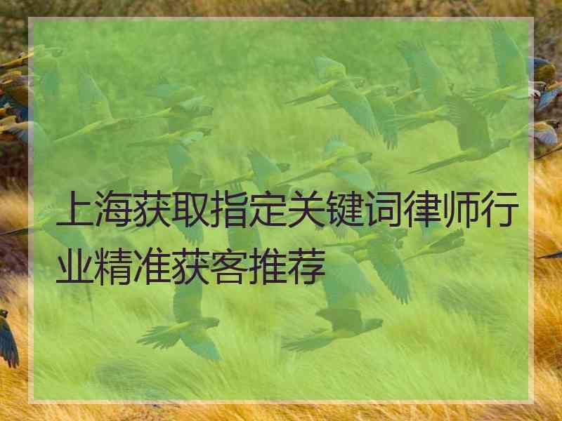 上海获取指定关键词律师行业精准获客推荐