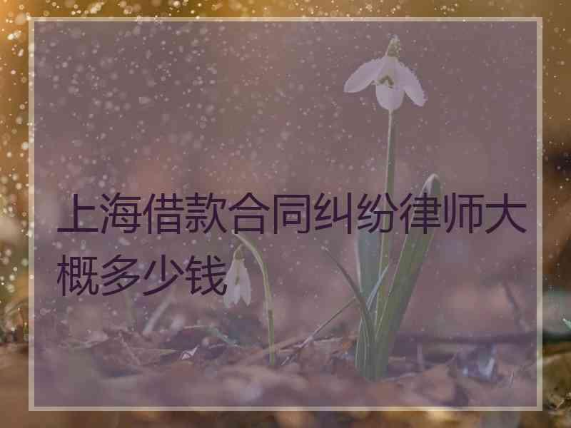 上海借款合同纠纷律师大概多少钱