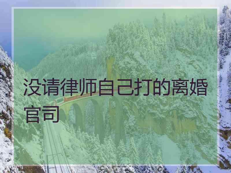 没请律师自己打的离婚官司