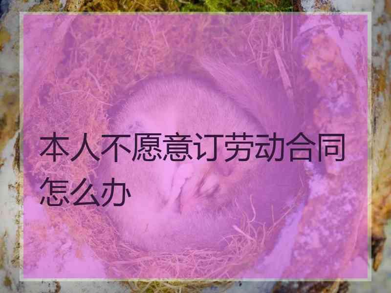 本人不愿意订劳动合同怎么办