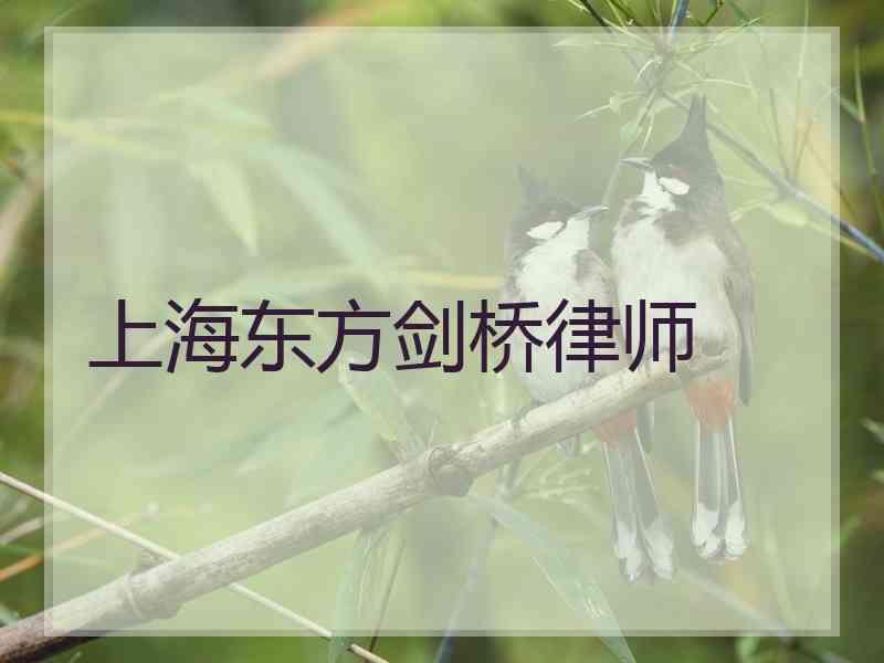 上海东方剑桥律师