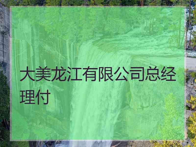 大美龙江有限公司总经理付