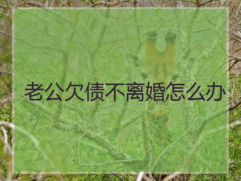 老公欠债不离婚怎么办