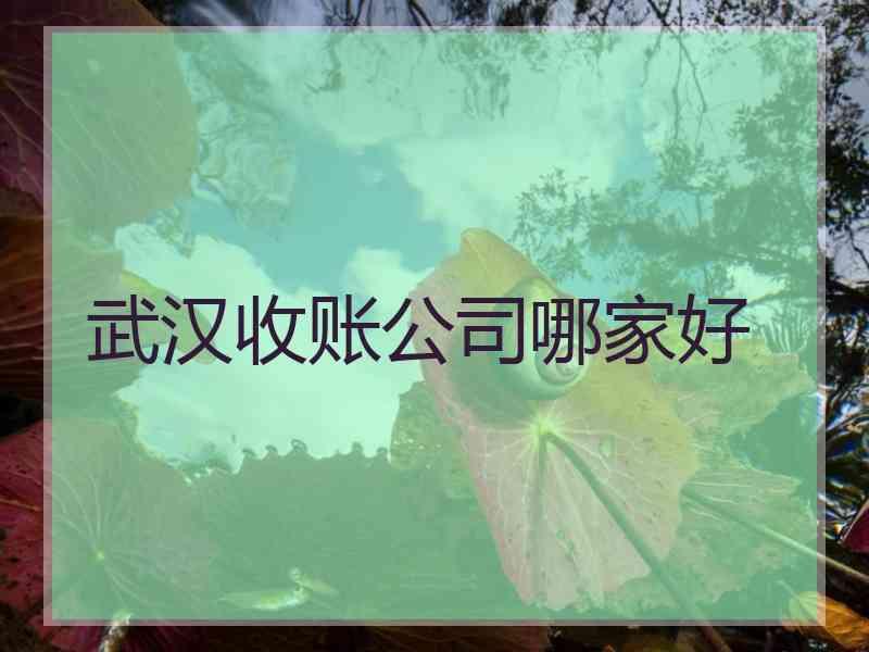 武汉收账公司哪家好